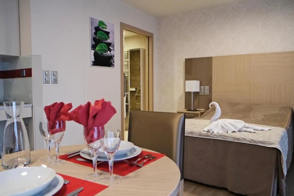 Furnished studio: laid dining table in the foreground, single-bed sleeping area at the back, Appart-One aparthotel, Montreuil